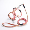 Cross -border adjustable pet cat gradient color traction rope set Small dog dog rope dog work