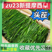 һlĦݰlֱӸɲݱZiĦֱ