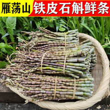 浙江雁荡山铁皮石斛鲜条食用新鲜榨汁泡水枫斗粗条一斤