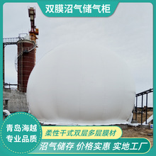 海越双膜沼气柜大豆深加工淀粉厂污水项目马铃薯工厂加工气体储存