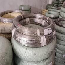 ���l��ɫ�X�� 3mm��ɫ�������X�� ��̩�{�b��W���ڼ������o��