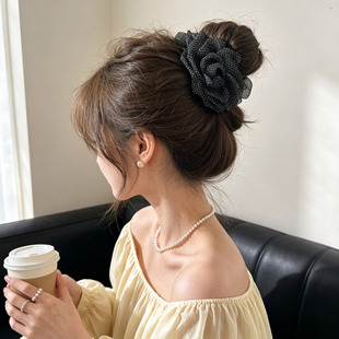 ���c����ץ�AŮ�����^���~�A2026�¿�P�l�A�߼��к��X�װٴ�l�