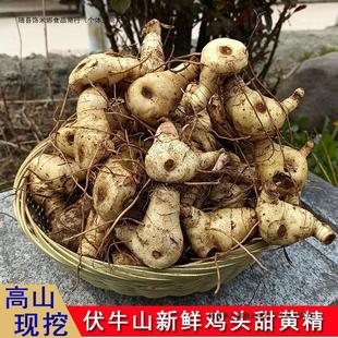 �F���S����ɽ�S���N���u�^�S���K�o���Aɽ�S���uצ�������l