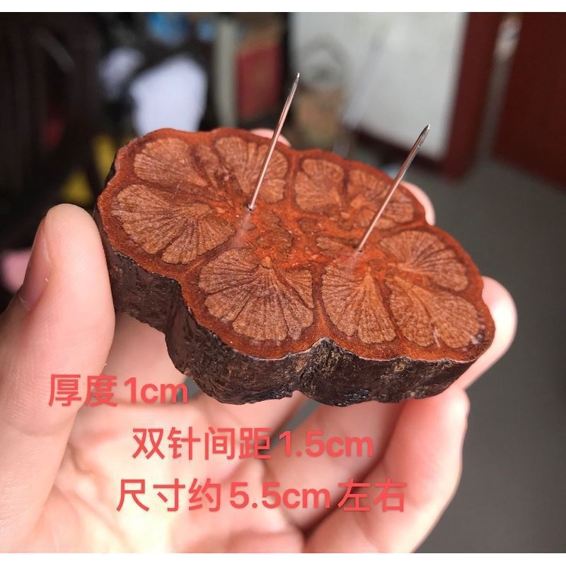 불규칙 약 5.5cm, 두께 1cm