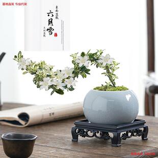 ����ѩ�辰���¼t�������U���҃ȴ�̨С�Gֲ���k���Ҳ����������