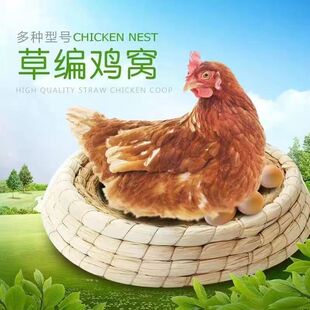 ĸ�u�����������������u�C�µ���ů���Âȷ��u���u�����L���S