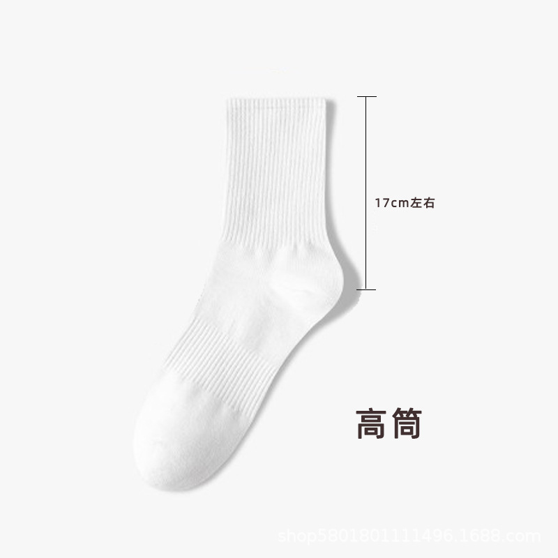 키 큰 흰색 [면]