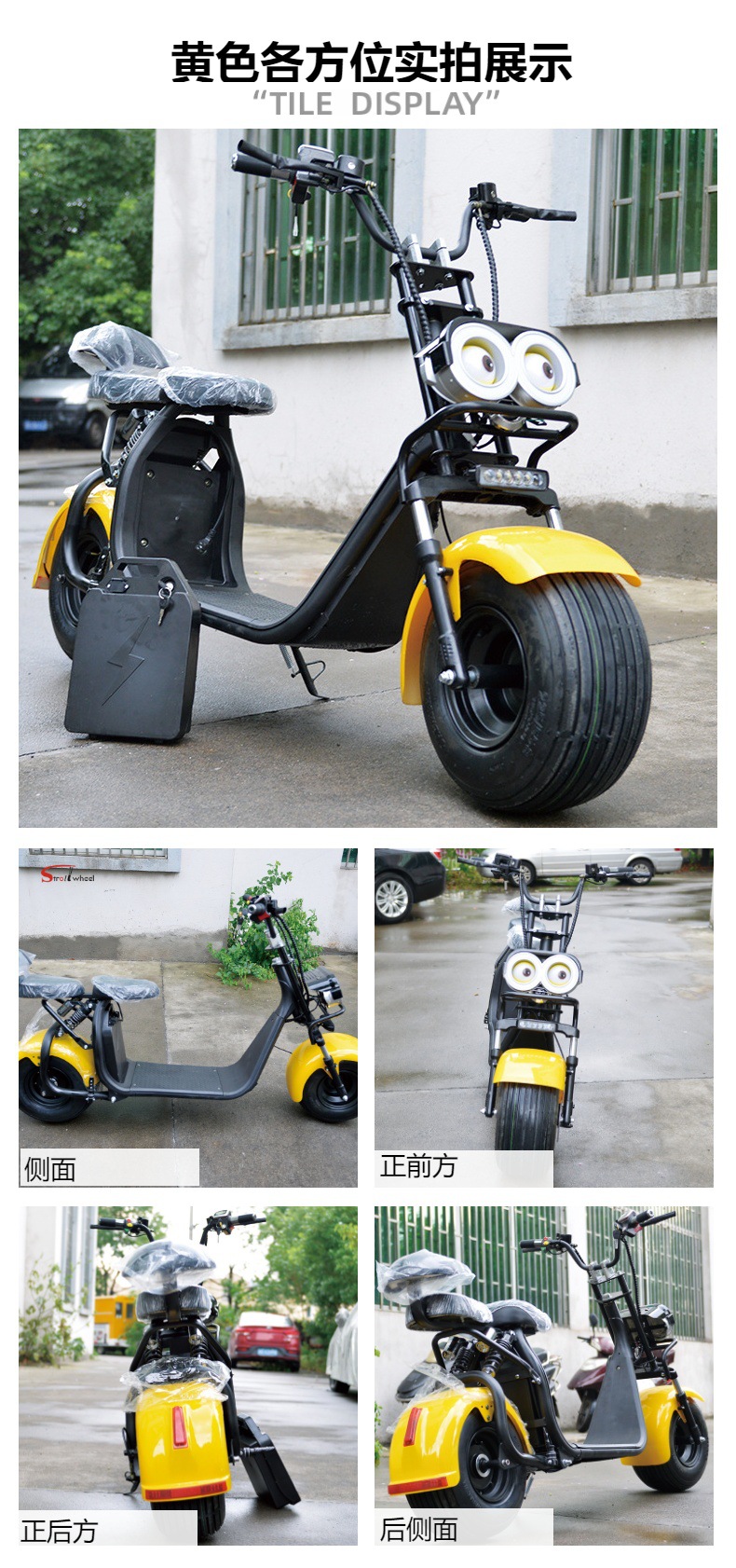 China Factory Dropshipping Es1002 Harley Electric Motorcycle City Riding with Led Screen Balance Car