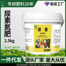 领沃尿素肥料化肥氮肥花卉果树绿萝绿植蔬菜养花盆栽通用家用花肥