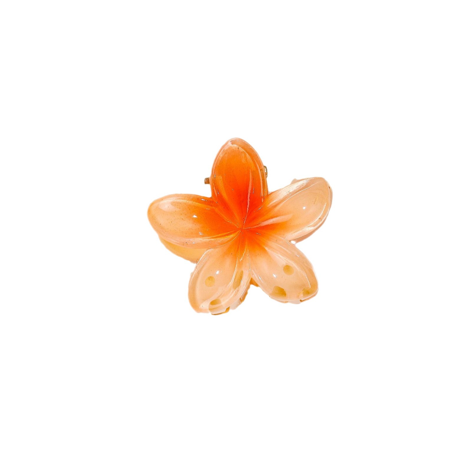 2024-08-21 12:47:36.jpg