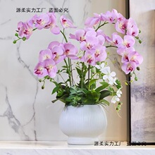 2025¿m͏dbˇ[ҕ[[Ob