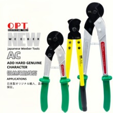 ̨��OPT�����AC-110�X�Ͻ��ֱ�䓽z�K�������P����|���ü���