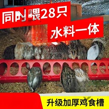 С�uι�uʳ���B�u�����ϲ��g�����J���uι�uʳ���L����ˮ��һ�w