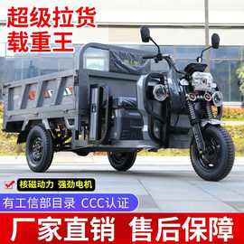 新款电动三轮车拉货载重王大货箱货车快递农用摆摊电瓶车国标上牌