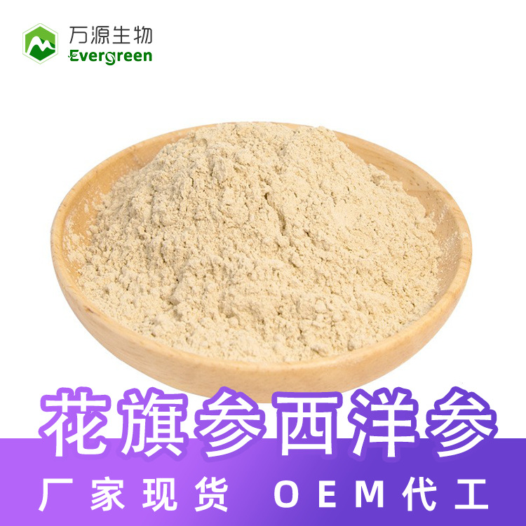 SC厂家批发西洋参粉花旗参粉西洋参 american ginseng powder