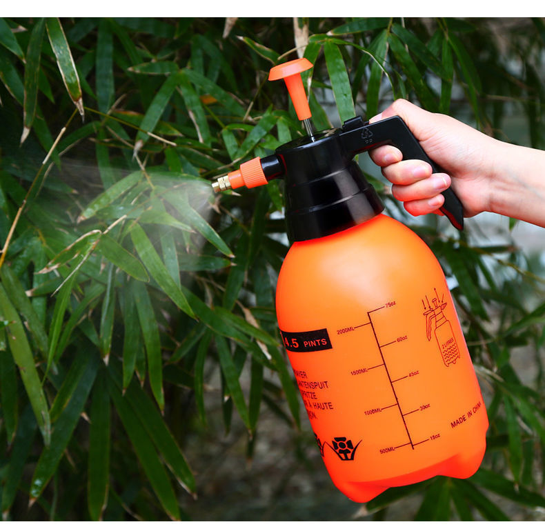 O1CN01rm70ir1jqqhKiEegg_!!2103504600-0-cib.jpg?__r__=1669881209393