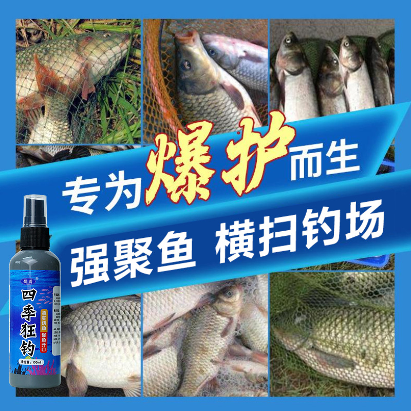 Medicina de pesca salvaje de cuatro estaciones, aditivo de pesca, cebo para peces, tilapia, pez de agua dulce, pozo negro, medicina salvaje