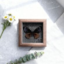 ��G��������˱�ľ�|߅��DIY�b��͹����[̨�Ҿ��Ʒ�ͶY