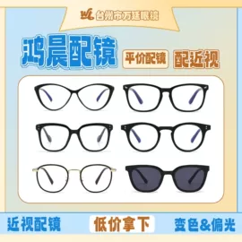 太阳镜;框架眼镜;老花镜