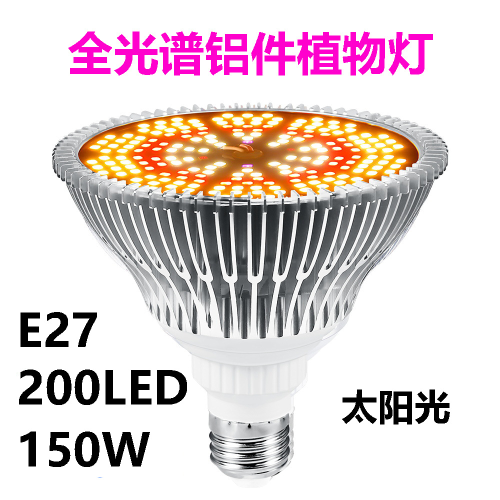 200 구슬-150W 햇빛