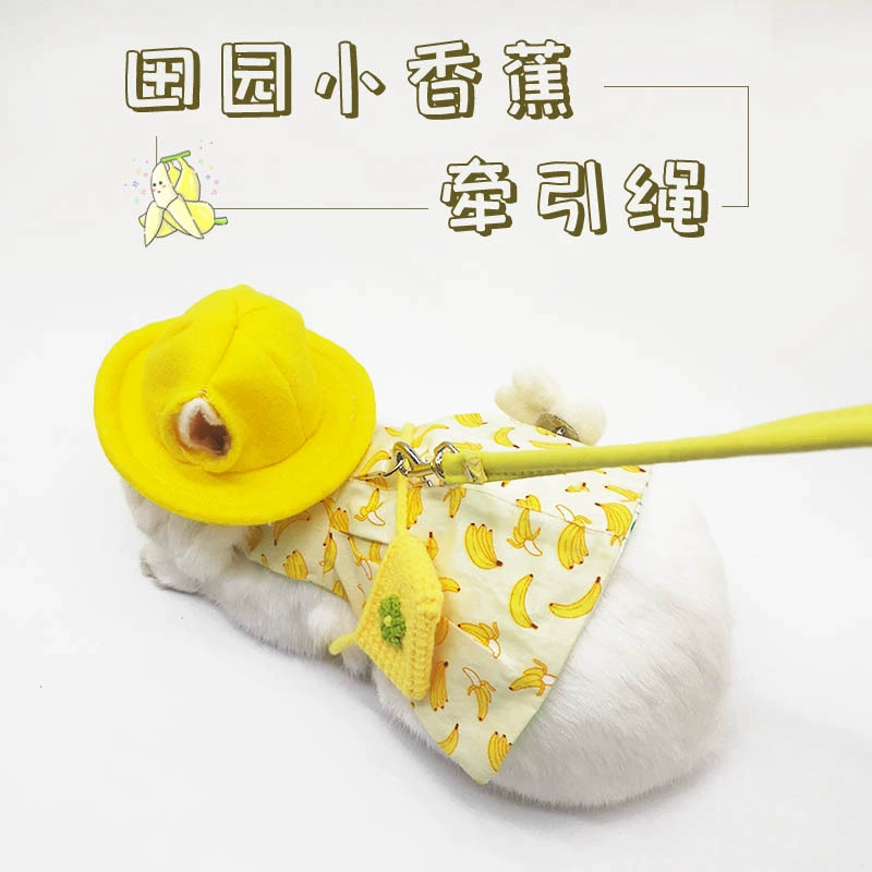 Новая теплая одежда для домашних животных на осень и зиму, поводок-банан в пасторальном стиле, шапка для морских свинок и миниатюрных кроликов, милый дизайн