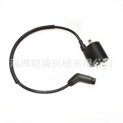 Linhai 260 Atv Farmer Car High Voltage Pack 22012