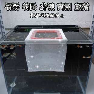 ���~��ֳ�������x�W�~�W�~����ȻƯ����ȸ�~��ֳ����С�W����W