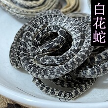 大白花蛇 大白花蛇品牌 图片 价格 大白花蛇批发 阿里巴巴 大白花蛇 大白花蛇品牌 图片 价格 大白花蛇批发 阿里巴巴