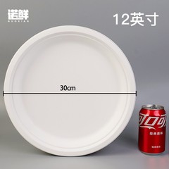 使い捨て紙皿は白い大きな紙皿を厚くしてケーキ皿を焼く幼稚園の手作りDIY材料画12インチ