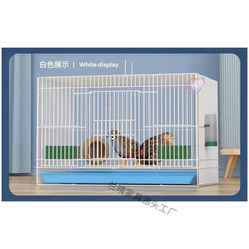 f935b3d1-0153-4b08-bfa4-7addb18d3f56.jpe