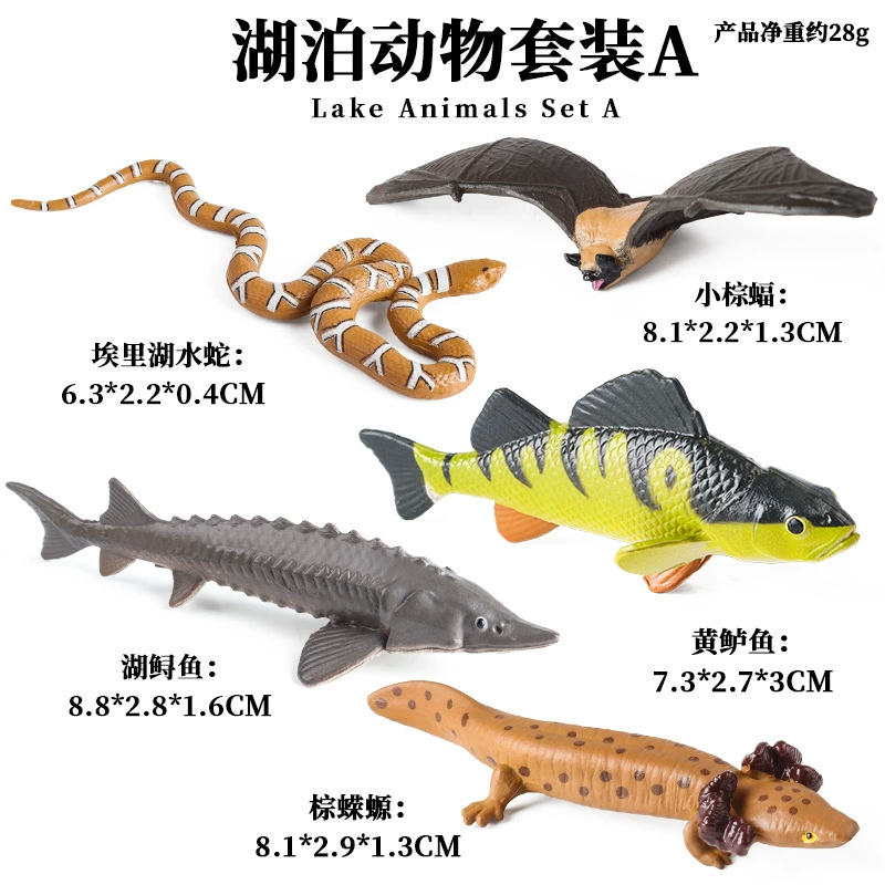Cognitive realistic marine animal model, dinosaur, toy