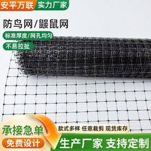 蔬菜大棚养殖防护网农业园林防鸟网果蔬花卉尼龙防鸟网果园防雹网