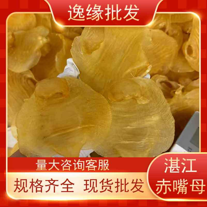 陈年赤嘴母花胶规格齐全赤嘴鱼胶无添加孕妇安心滋养直播选品批发