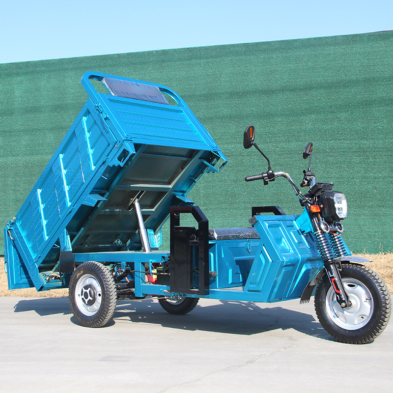 Triciclo eléctrico de carga de montaña de carga de montaña camión rey tres trampones agrícola doméstico camión de carga batería granja
