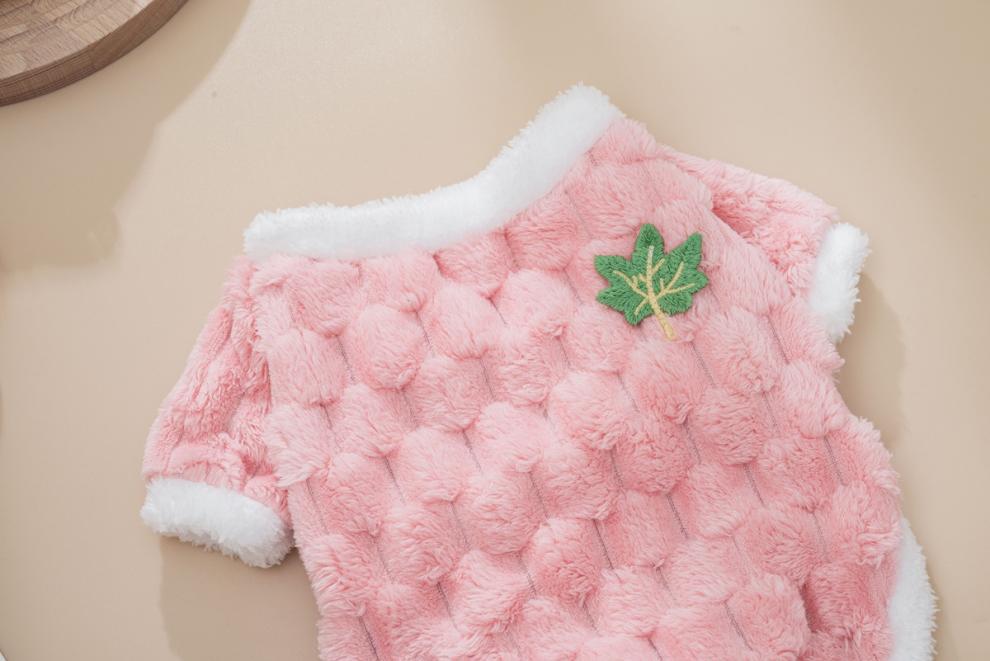 e67a03f8-cf82-4aae-942f-66a51bc88e9a.jpe