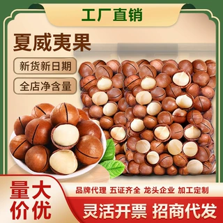 夏威夷果休闲零食炒货干果袋装年货零食大礼包下午茶厂家团购批发