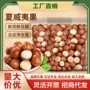 团购袋装休闲大礼包炒货