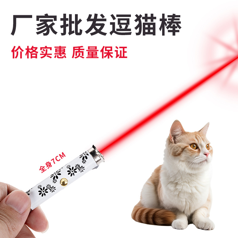Laser pen, infrared and ultraviolet flashlight toy, multifunctional money detector, LED mini keychain, cat toy