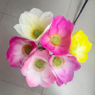 �ɻ�ϵ��3D����ɻ��҃��쾰���û��ܷ��滨�߶ˑ��ⱳ���b���