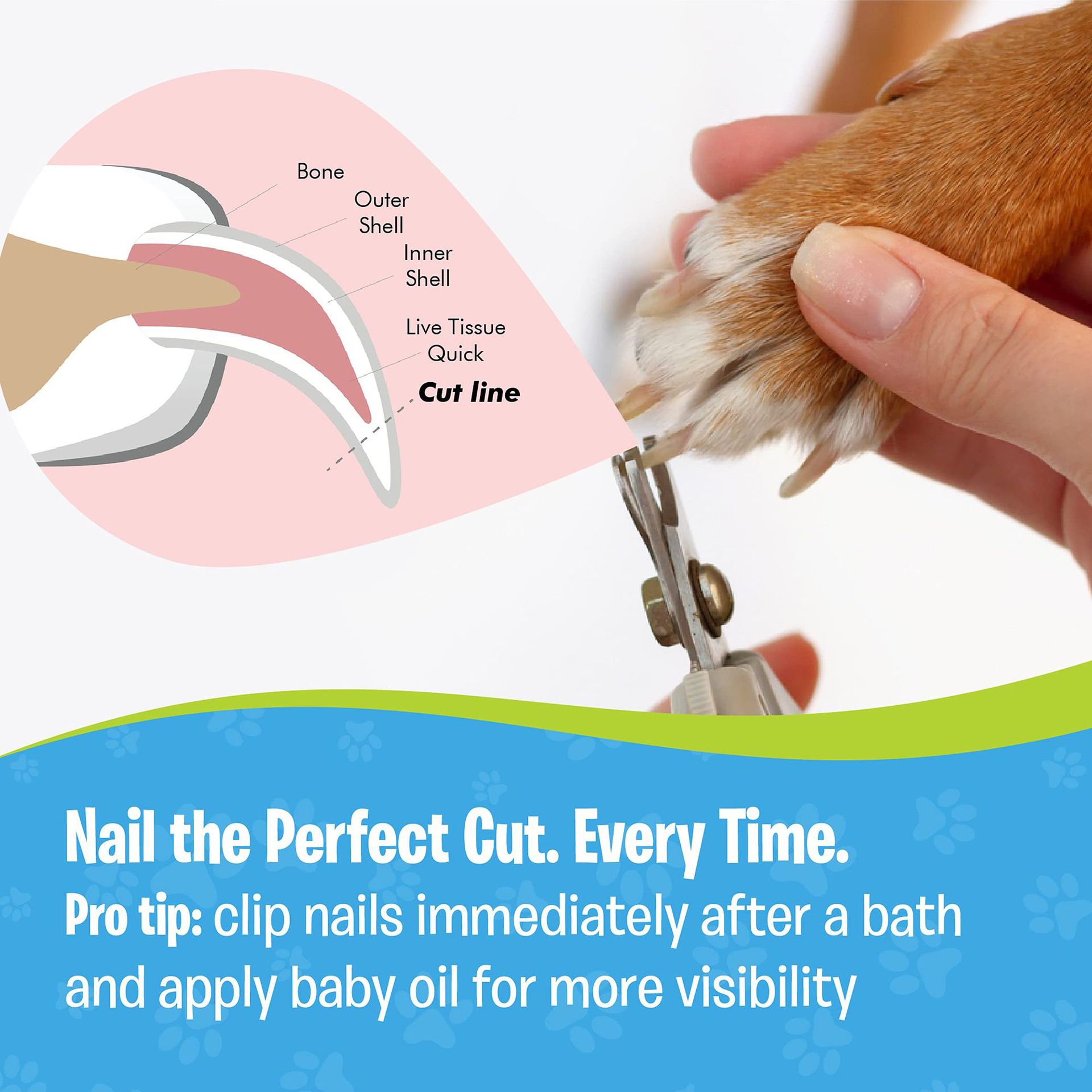 Pet Care