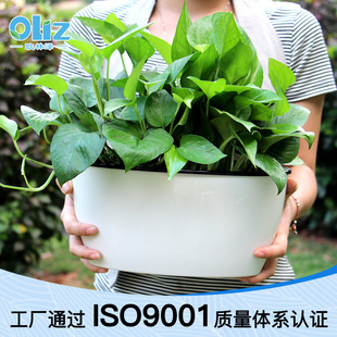 �羳�S���辰�W�֝�ֱ�N���R�d���ϻ���E�A���L������ˮ����