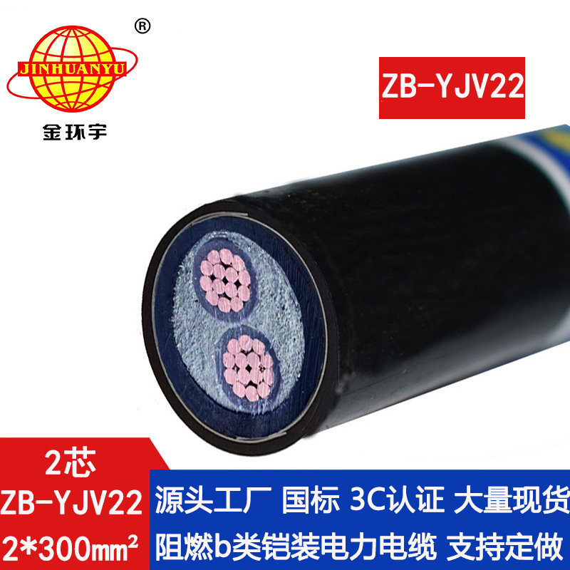 金环宇电缆 ZB-YJV22-2X300平方 b级阻燃电缆yjv22钢带铠装电缆