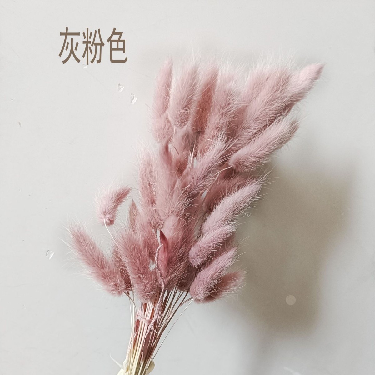 Hierba de cola de conejo flor seca hierba de cola de conejo blanco un montón de 50 piezas