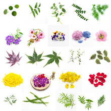 �����b������������rֲ��͏d���r�[�P��P��˾����