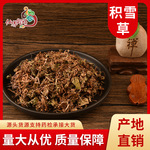 药材批发 积雪草 灯盏菜 新货无硫 质量保证量大从优新货积雪草