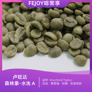 24���R���_ ɭ���� ˮϴ ���� �FƤ�� �P��|������|����|���β�