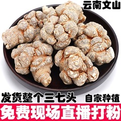 【送料無料】雲南文山春七頭丸ごと無切断20頭非野生七頭スープ生粉