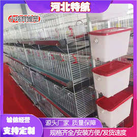 小鸡笼子育雏笼子小点蛋鸡笼加密加粗防跑养殖笼四层立体养鸡设备