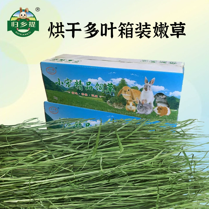 Сушеная Тизей нежная трава Корм Домашний кролик Сено Кролик Север Оптовая коробка 1 кг корма Тоторо