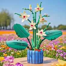 ��ͯ�eľС�w�����Ի���m�� DIY�҃ȼҾӔ[��ƴ�b�eľ